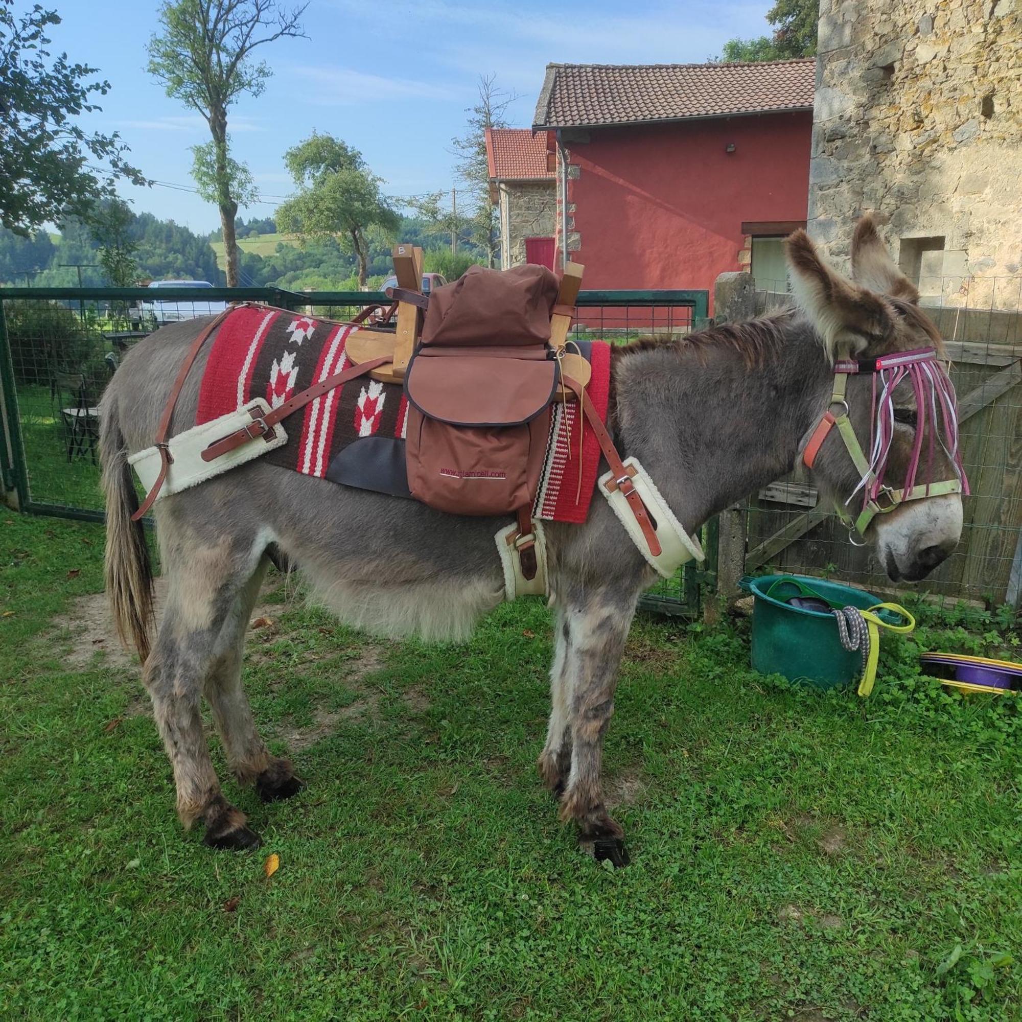 Gite La Roche Bertignat Bagian luar foto